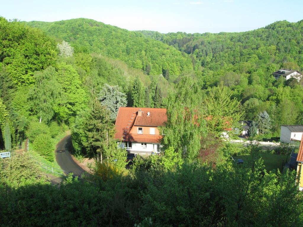 Schlossberg Ferienwohnung فالديك المظهر الخارجي الصورة